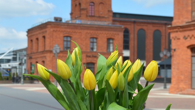 Zdjęcie promujące wydarzenie: "Dzień Kobiet w Manufakturze" - fot. Manufaktura