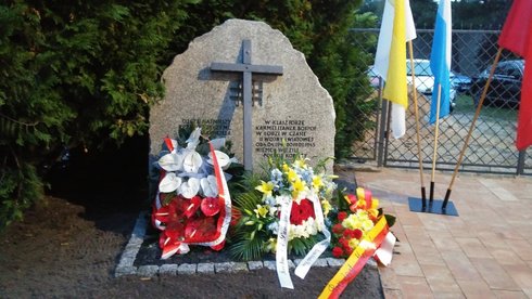 foto: Andrzej Janecki