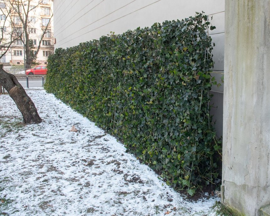 fot. Paweł Łacheta