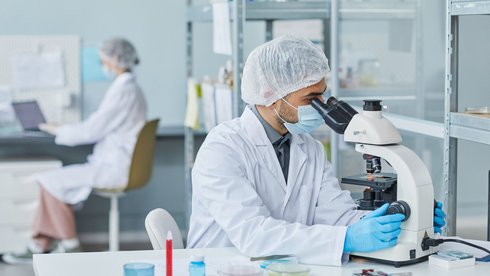 fot. Envato Elements