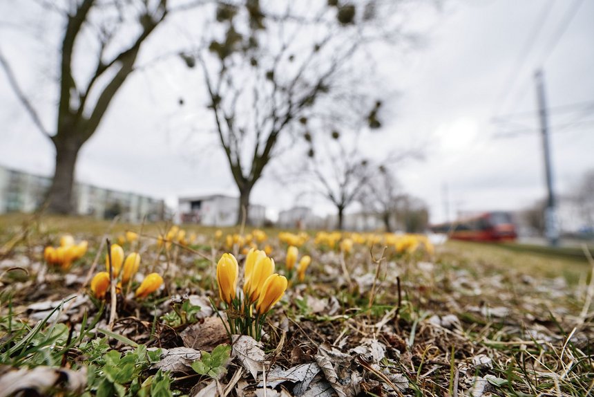 fot. Radosław Jóźwiak