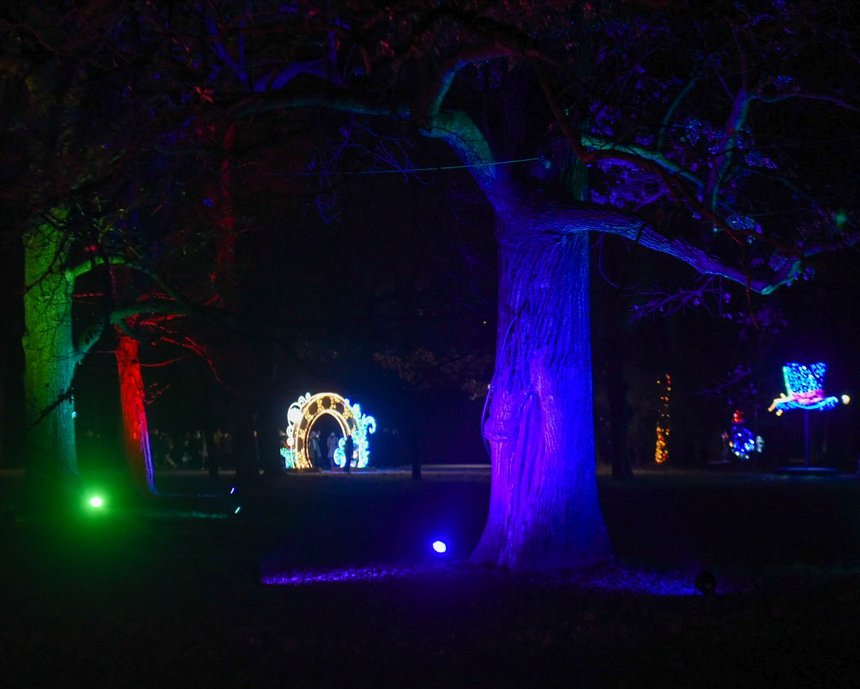 fot. Paweł Łacheta