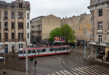 fot. Stefan Brajter / UMŁ