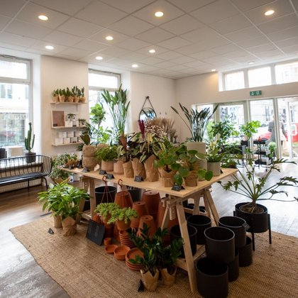 Roślinnik, фото ŁÓDŹ.PL