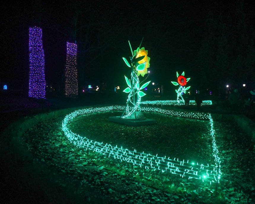 fot. Paweł Łacheta