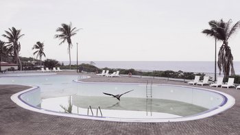 'Robert Zhao Renhui, Christmas Island, Naturally" - Art_Inkubator - wystawa w ramach Fotofestiwal 2018 -  mat. pras. Fotofestiwal