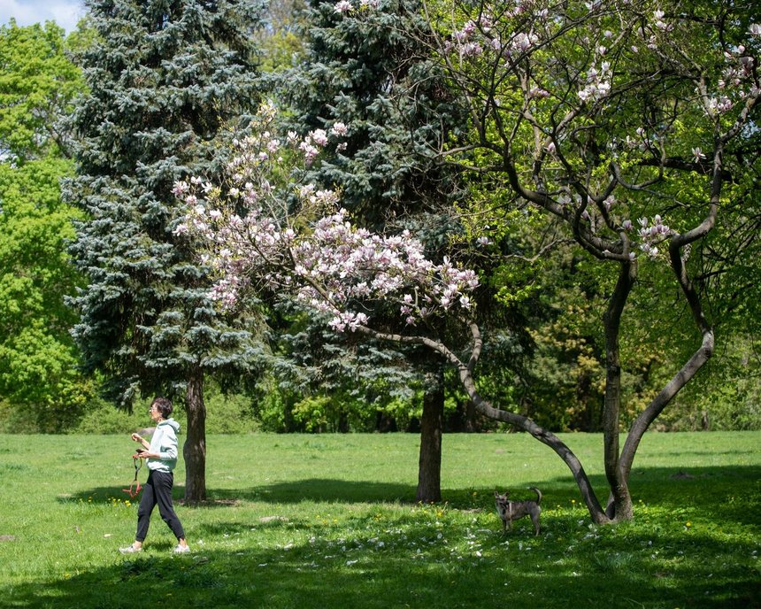 fot. Paweł Łacheta