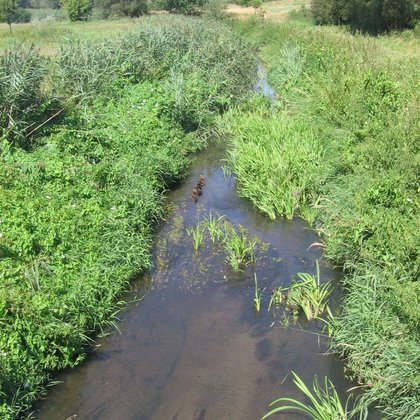 Międzyrzecze Neru i Dobrzynki, fot. ŁÓDŹ.PL