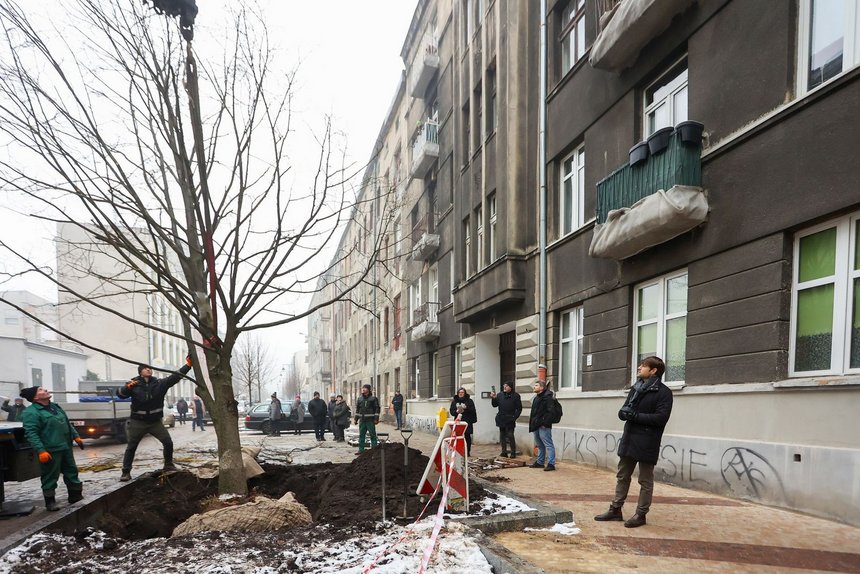 fot. Konrad Ciężki