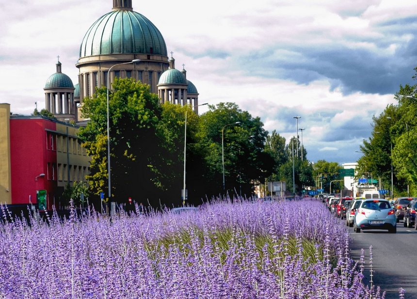 fot. Paweł Łacheta