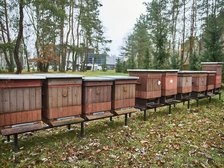 fot. Radosław Jóźwiak