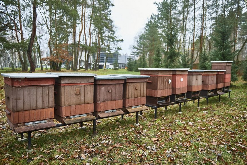 fot. Radosław Jóźwiak