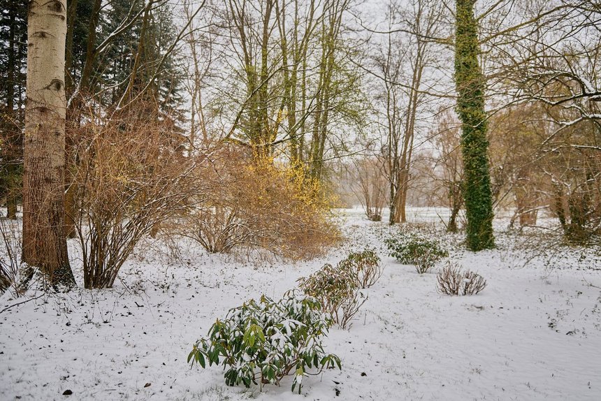 fot. Radosław Jóźwiak