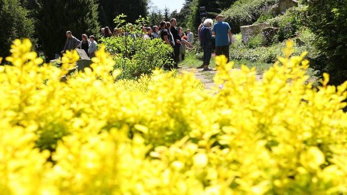  - Ogród bez tajemnic – spacery przyrodnicze po Ogrodzie Botanicznym