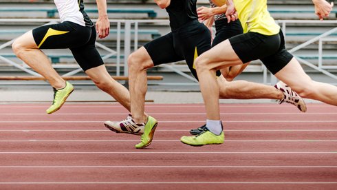 fot. Envato Elements